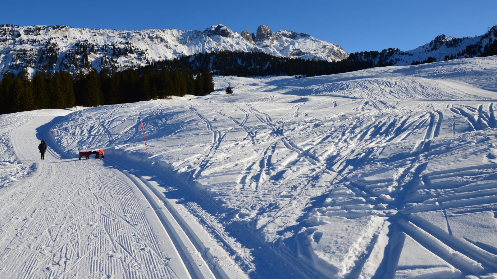 A person walking dogs on a snowy trail in Courchevel with mountains behind