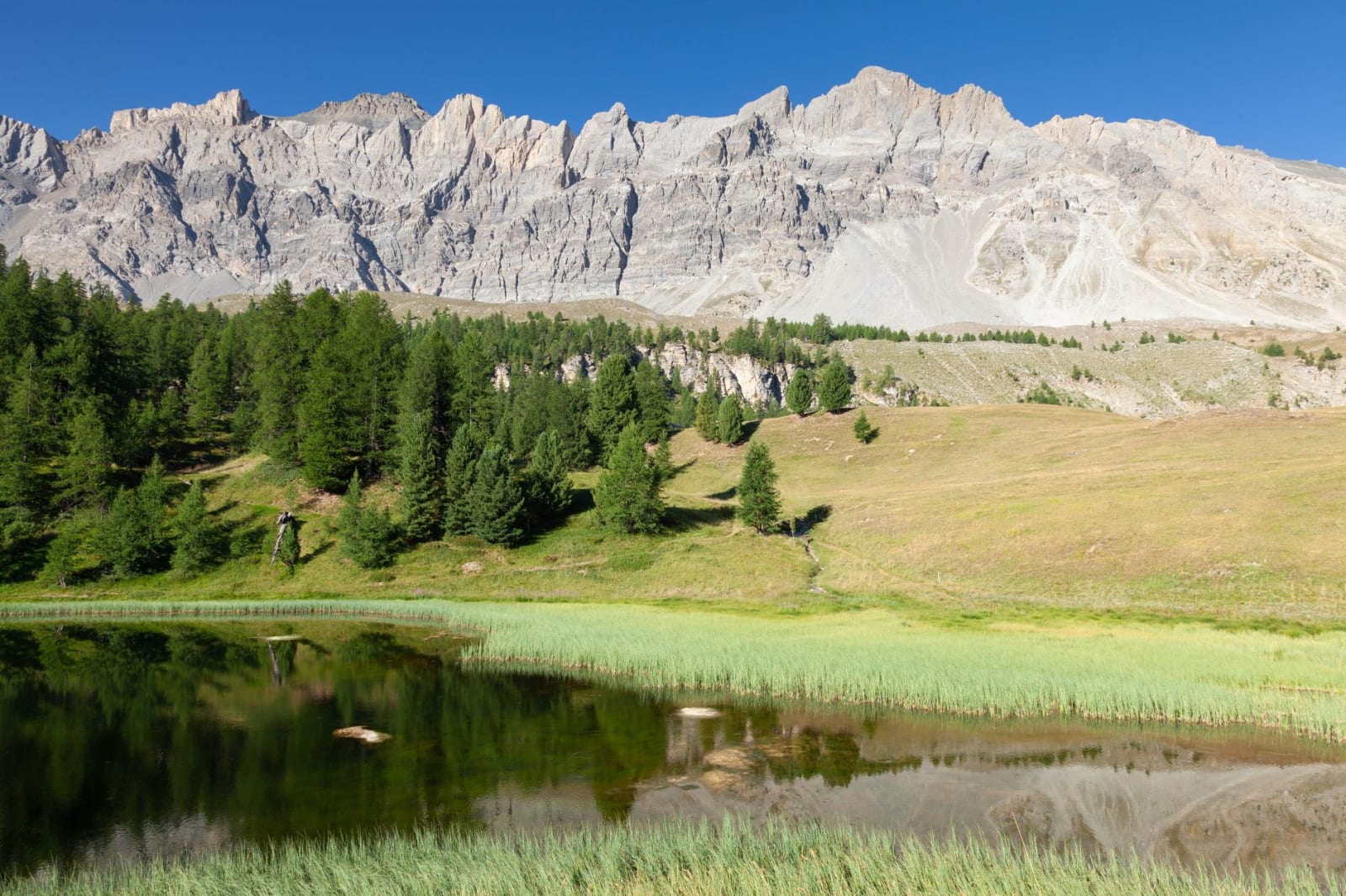 Serene landscape of a lake reflecting mountains and evergreen trees in Ceillac, France.