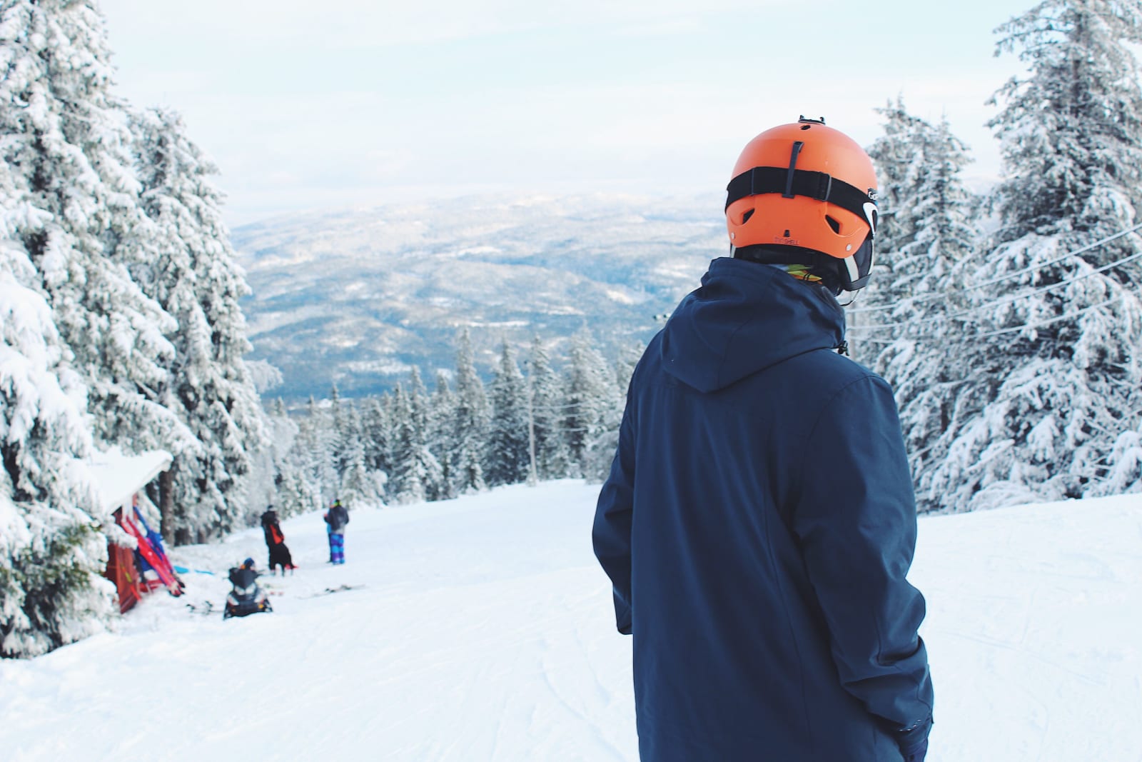 A skier in an orange helmet looking across snowy trees in Bø, Telemark