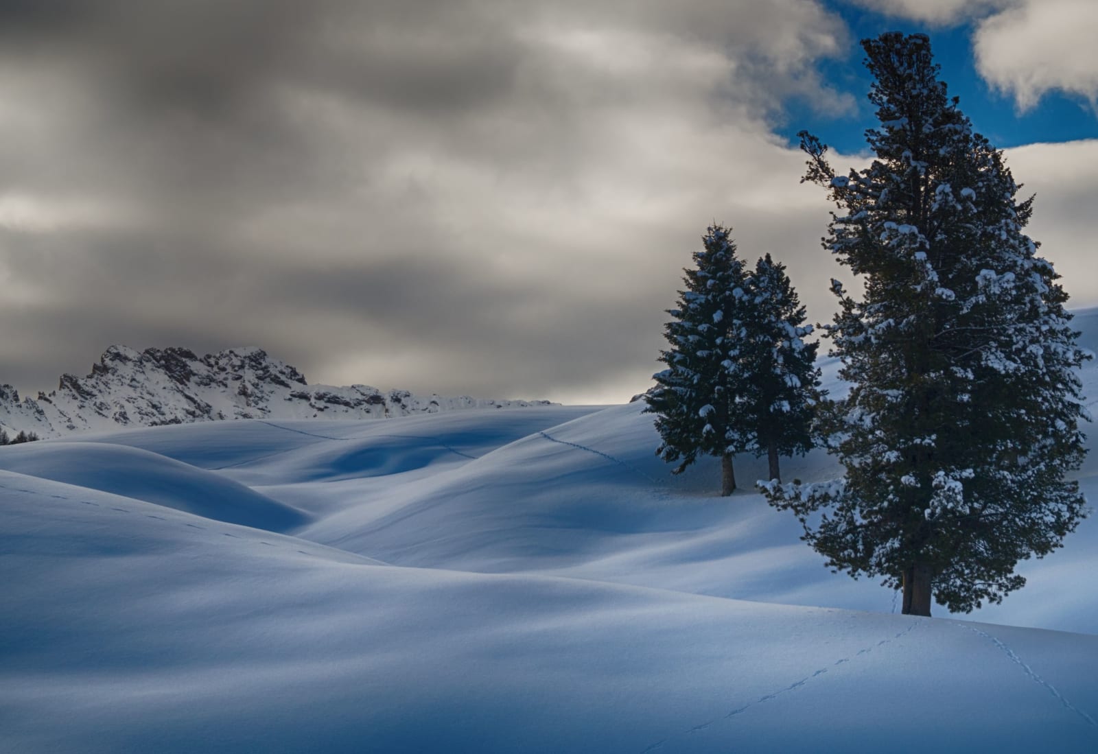 Snow-covered trees and mountains at Selva di Val Gardena