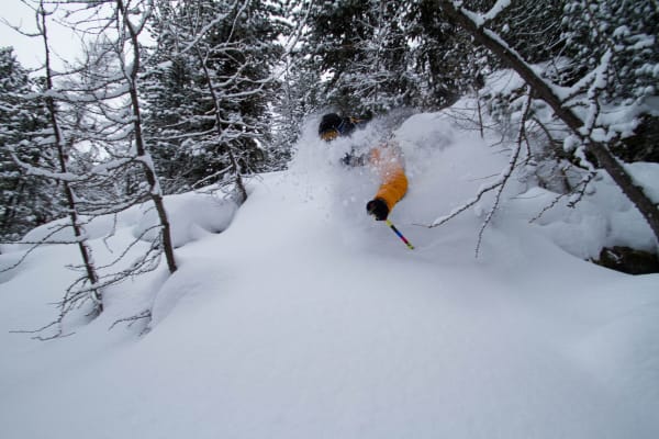 Action-packed skier maneuvering through fresh powder in a snowy forest.