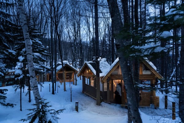 Illustrative photo: ron pearlman / Pexels Cozy winter cabins in a snow-covered forest setting in Furano, Hokkaido, Japan.