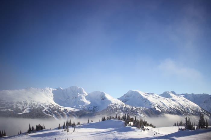 Snow-covered mountain ridges and scattered trees beneath a blue sky in Whistler