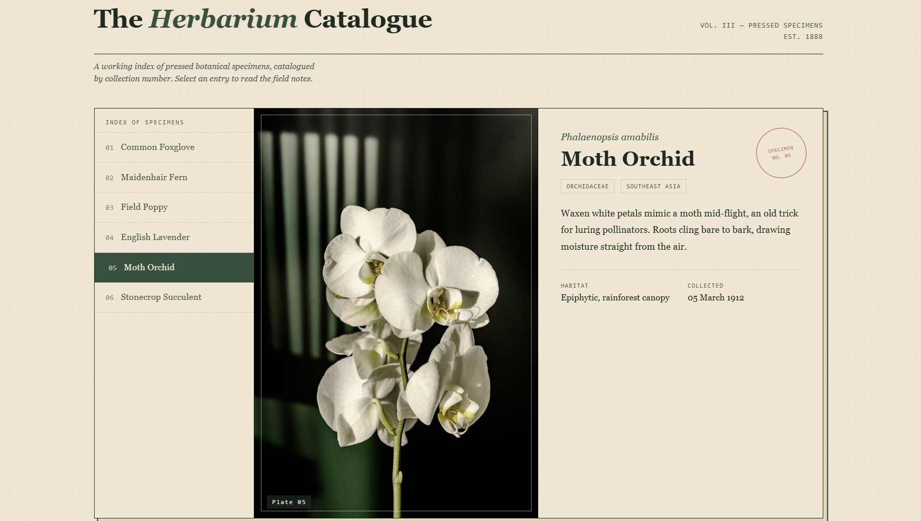 Free Gallery Herbarium Catalogue — A React Specimen Gallery Component React component built with Tailwind CSS