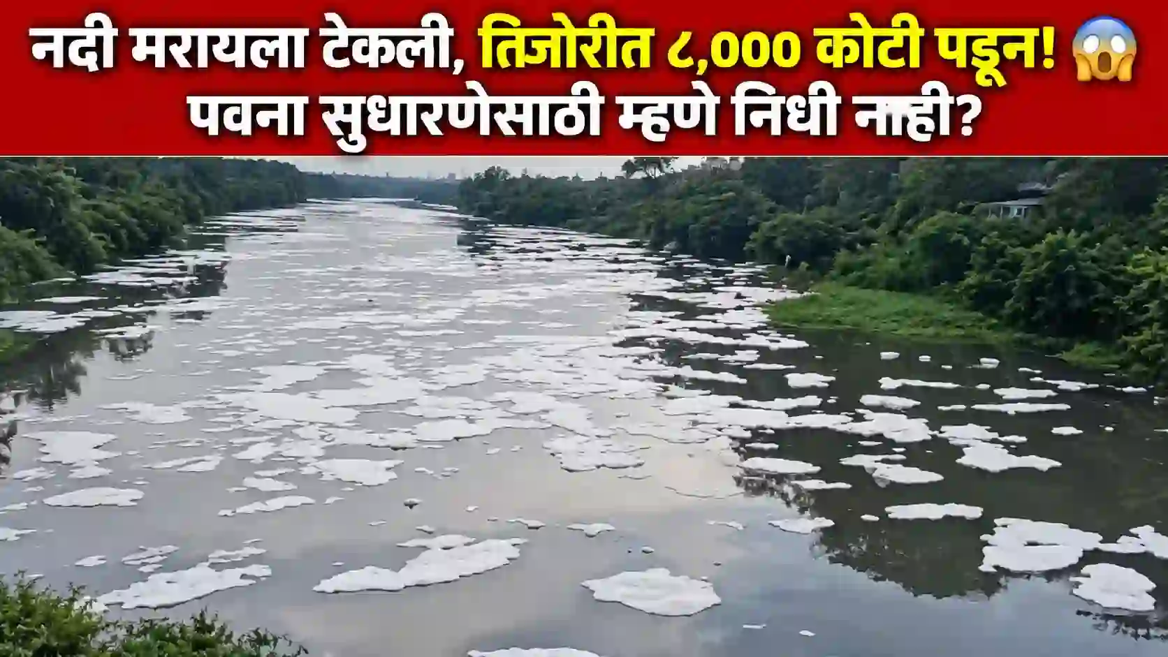 पवना नदी सुधार प्रकल्पाला निधीचा अभाव: केंद्र व राज्याचे एनजीटीत हात वर; पालिकेच्या ८,१२५ कोटींच्या ठेवी चर्चेत