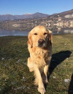 Bacco