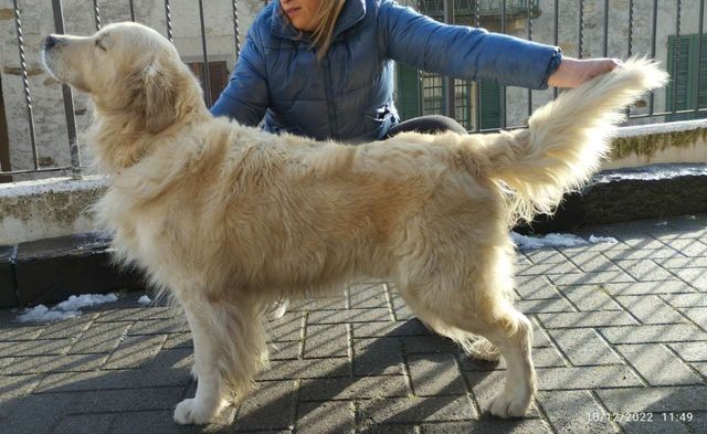 Athos