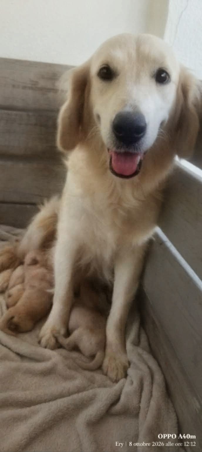 Hera con i piccoli nella cassa parto