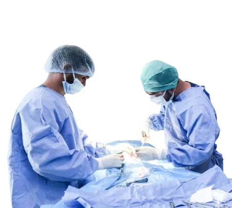 Veterinary surgeons performing a complex procedure