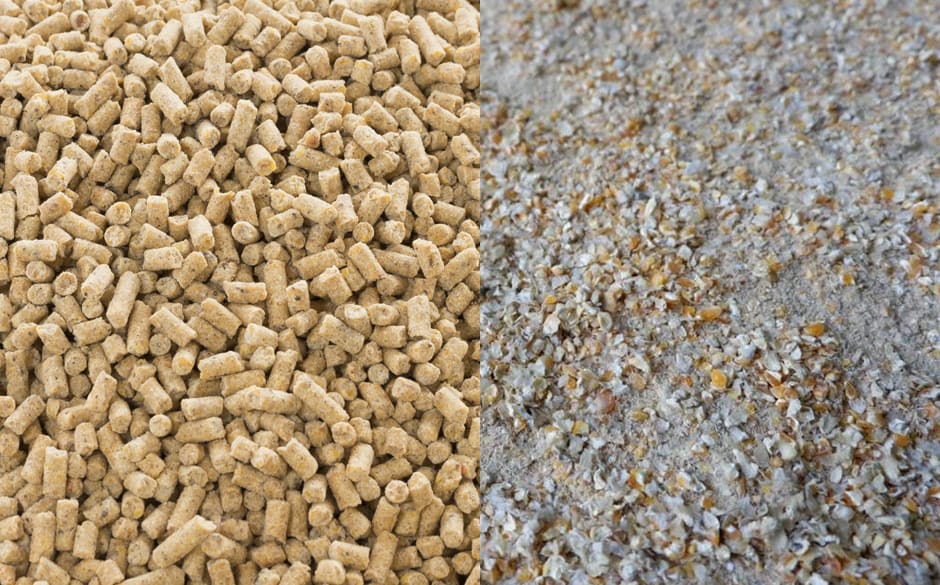 Entenda a diferença entre ração peletizada e farelada
