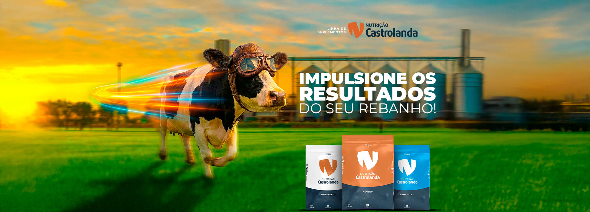 Suplemento Mineral - Campanha Nova