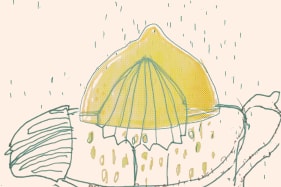 Session - Hoppynelle