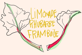 Limonade à la rhubarbe