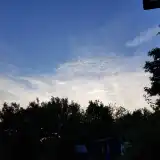 Brings Me Joy