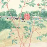 makahiya