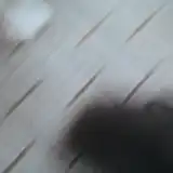 sage_rage