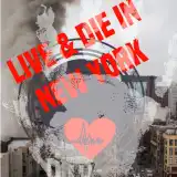 Queens of live&die in NewYork 