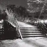 opiumnight