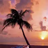 Radio Tropical