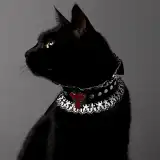 Boheminz