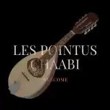pointus chaabi Radio