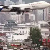 The Tour operator 