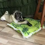 GSOM