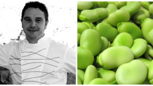 Dr. Productes - Faves