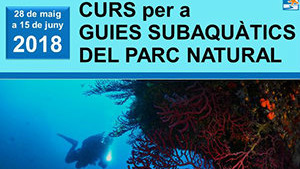 Entrevista a Boris Weitzmann