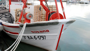 Una mala temporada per a les teranyines de l'Escala