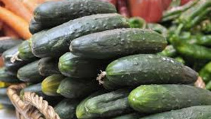 Dr. Productes - Cogombres