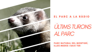 El Parc a la Ràdio - Últims turons al parc