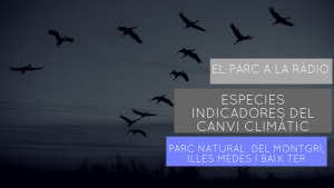 El Parc a la Ràdio - Espècies indicadores del canvi climàtic