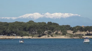 Qualitat excel·lent de l'aigua a les platges de l'Escala