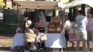 Diumenge El Camp dels Pilans celebra la segona Fira i Festa