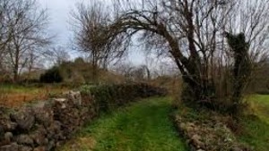 El Parc a la Ràdio-Construccions de pedra seca