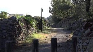 Arranjament del Camí dels Termes