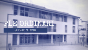 Talls de Ple - Pressupost (I)