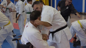Arts marcials, rítmica, patinatge, taekondo i bàsquet al pavelló