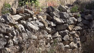 La ruta del Camí del Palau entra a l'oferta de visites guiades