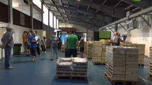 Una visita a la subhasta del peix blau estrena les activitats d'estiu del MARAM
