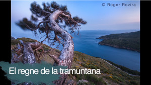 En marxa la segona edició del MedFoto