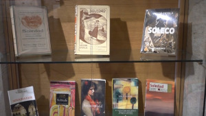 La Vila del Llibre sobreviu a la pluja