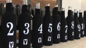 Arrels del Vi arriba a la desena edició