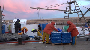 La confraria està satisfeta pel compromís del Conseller Ordeig