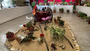 Més de 300 persones visiten l'exposició de flors i bonsais del CER