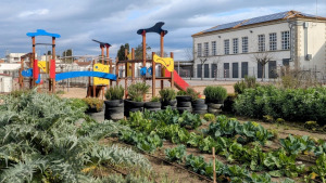 L'Escala desencalla la convocatòria de la seva primera comunitat energètica local