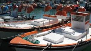 El sector del peix blau atent a la nova llei de pesca de la Generalitat