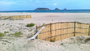 El Parc a la Ràdio-Bancs de sorra