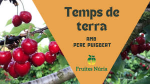 Temps de terra - Temps de pebrots